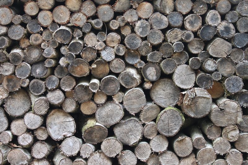 close up image of stacked logs